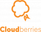 Cloudberries